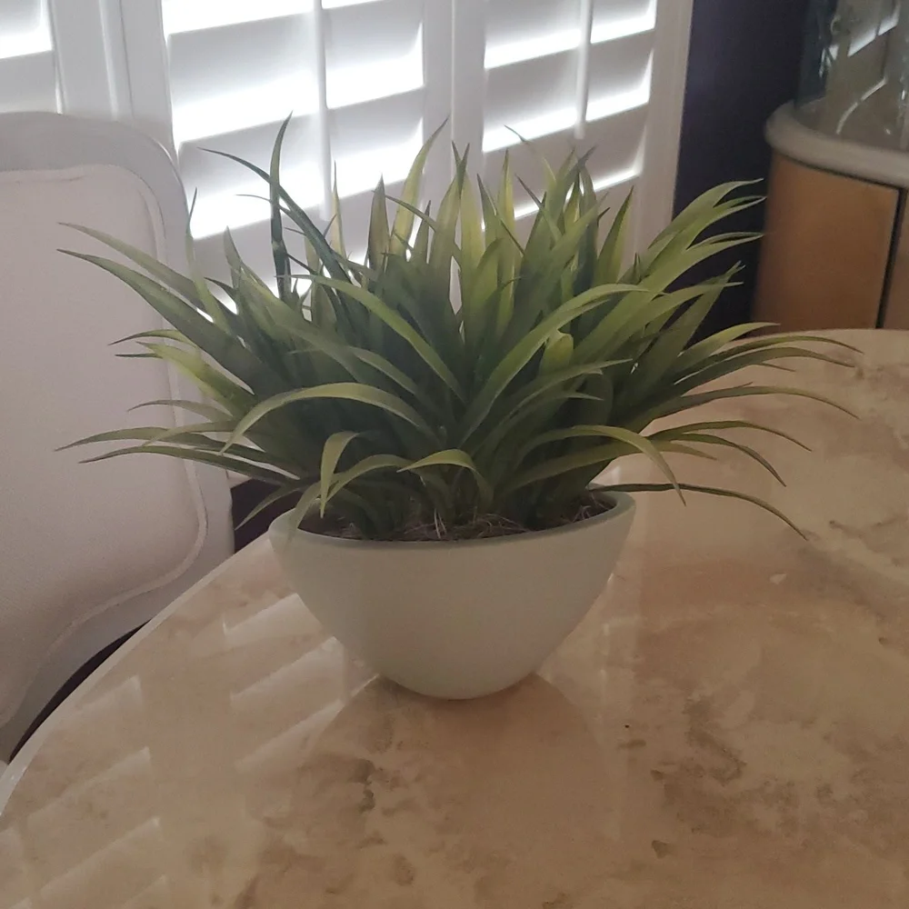 **HOST PICK**Modern Green Artificial Plant in Light Green/Cream Planter Nwot